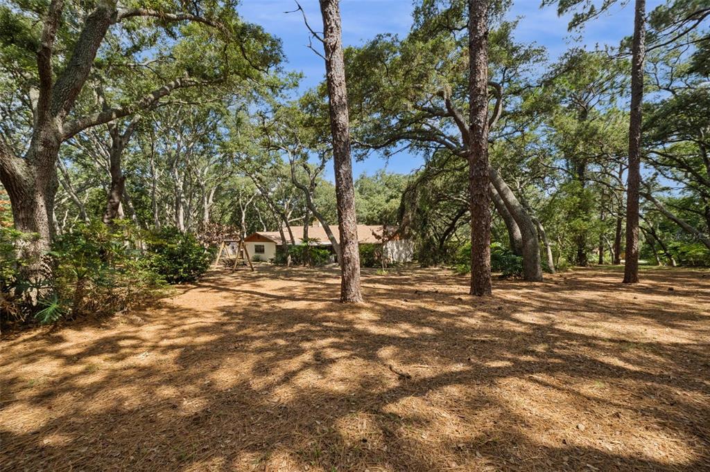 17056 Red Bird Road Winter Garden, FL 34787 - Photo 21 of 35