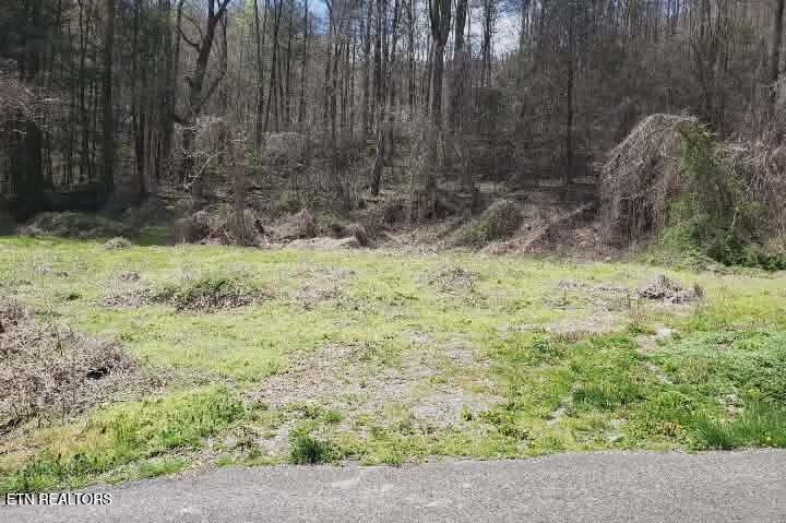 1577 Beans Fork Road Middlesboro, KY 40965 - Photo 3 of 4 1000018978