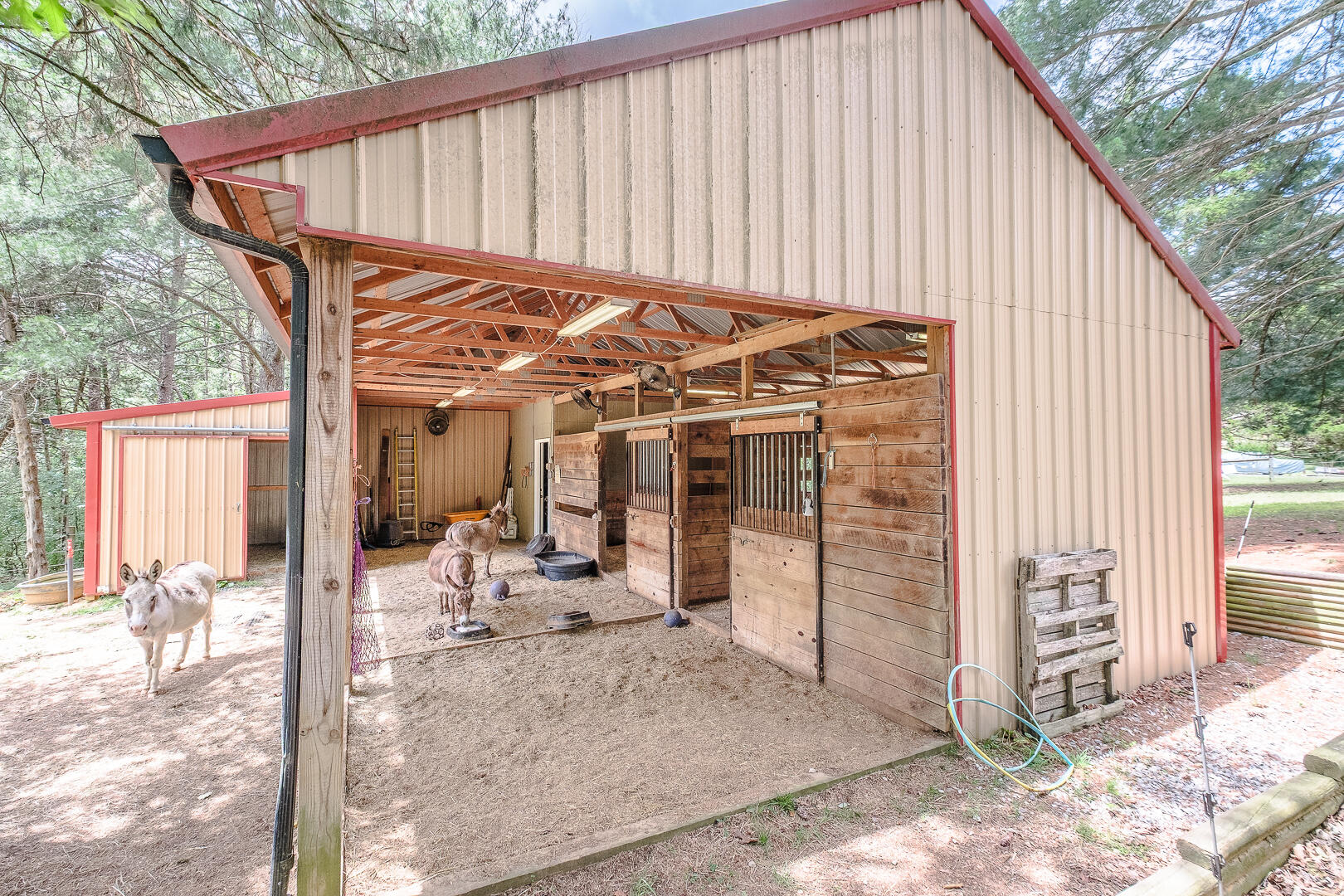 815 Brunswick Forge Road Troutville, VA 24175 - Photo 47 of 70 815 Brunswick Forge Rd-45