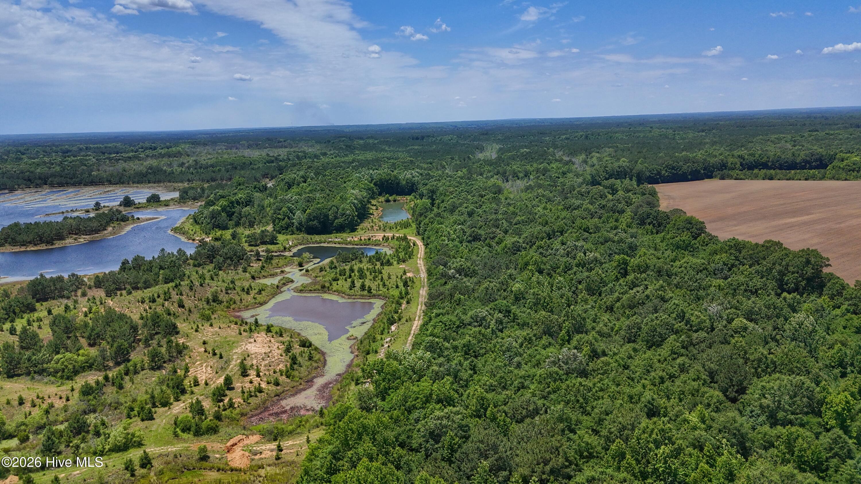 5930 Titan Roberts Road Erwin, NC 28339 - Photo 7 of 39 Gallery Image 7