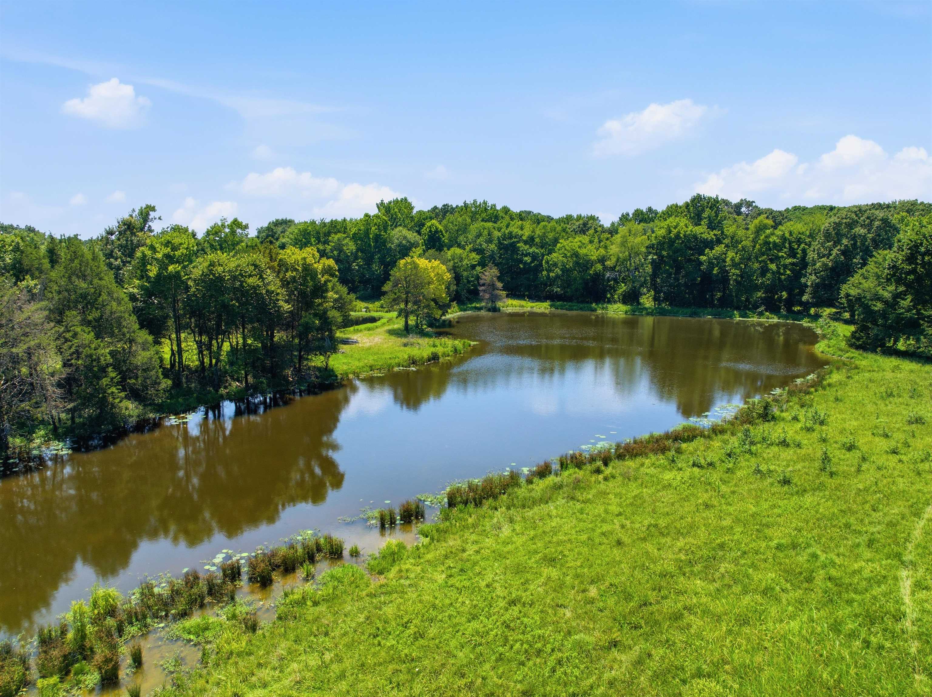 1370 North Reid Hooker Road Eads, TN 38028 - Photo 11 of 39