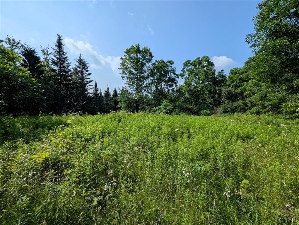 8880 Hemlock Road Wheeler, NY 14809 - Photo 35 of 50