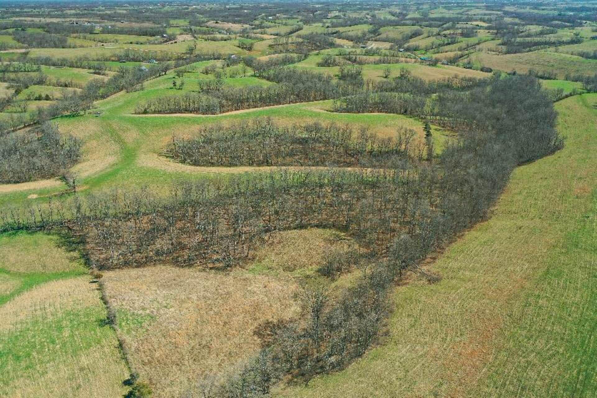 1300 Lower Concord Road Carlisle, KY 40311 - Photo 9 of 41 Drone
