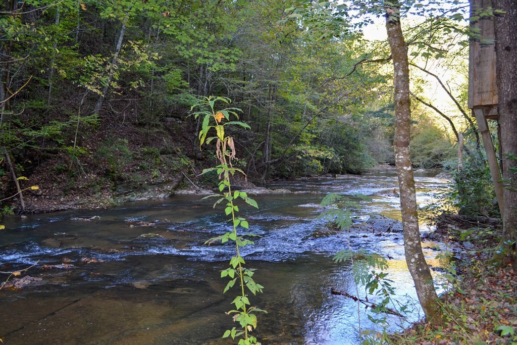 1902 Wears Valley Road Sevierville, TN 37862 - Photo 38 of 48 Gallery Image 38
