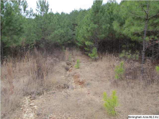 2061 Creel Road Morris, AL 35116 - Photo 3 of 6