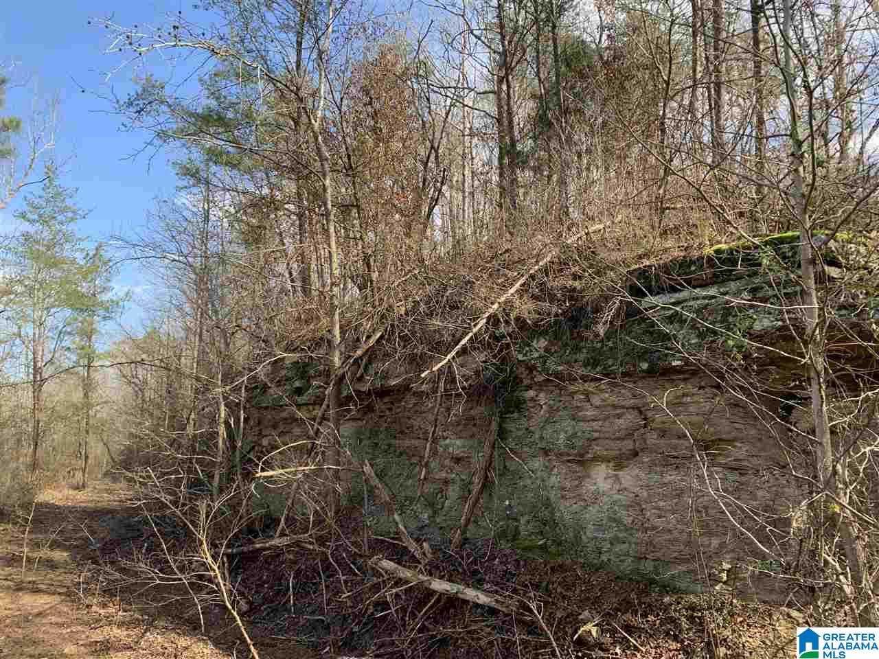 79 Highway 79 Cleveland, AL 35049 - Photo 33 of 36