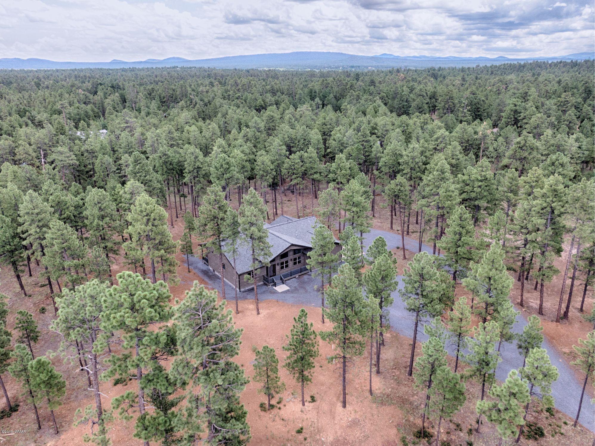 5030 Rim Spur Lakeside, AZ 85929 - Photo 22 of 25 Gallery Image 22