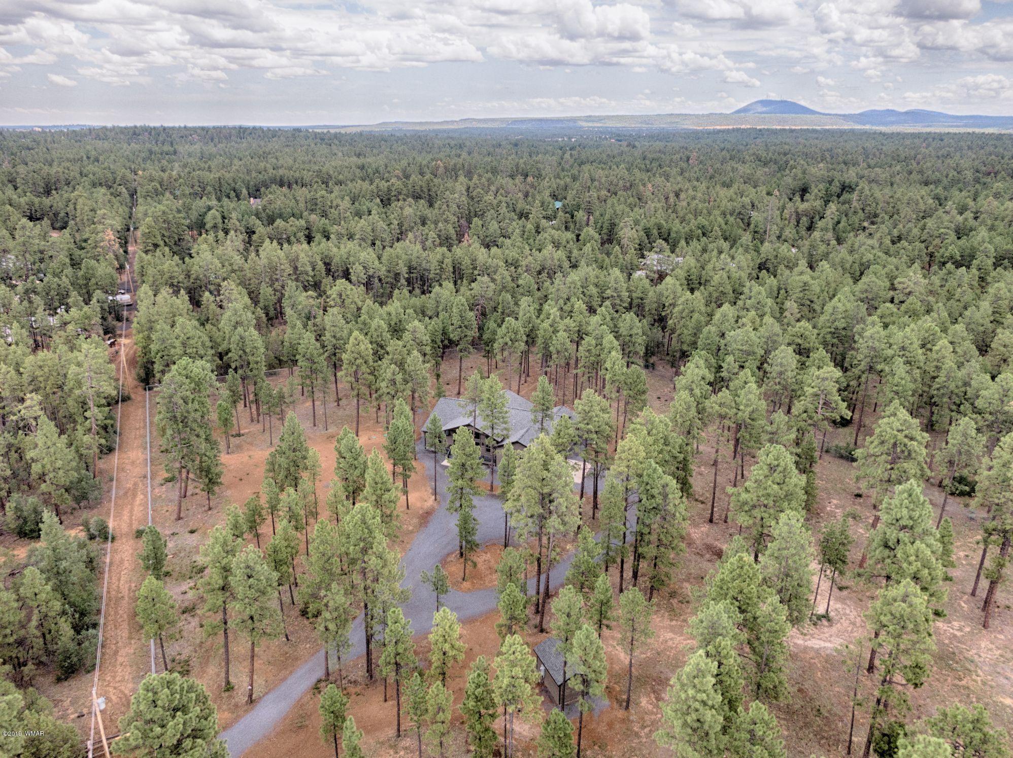 5030 Rim Spur Lakeside, AZ 85929 - Photo 24 of 25 Gallery Image 24