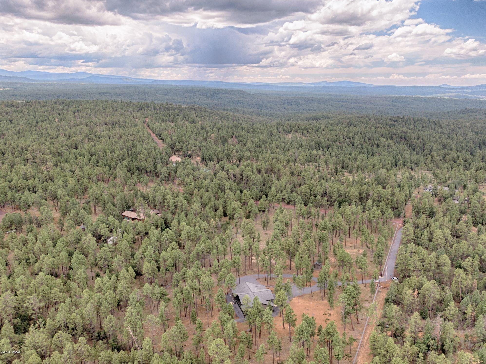 5030 Rim Spur Lakeside, AZ 85929 - Photo 25 of 25 Gallery Image 25