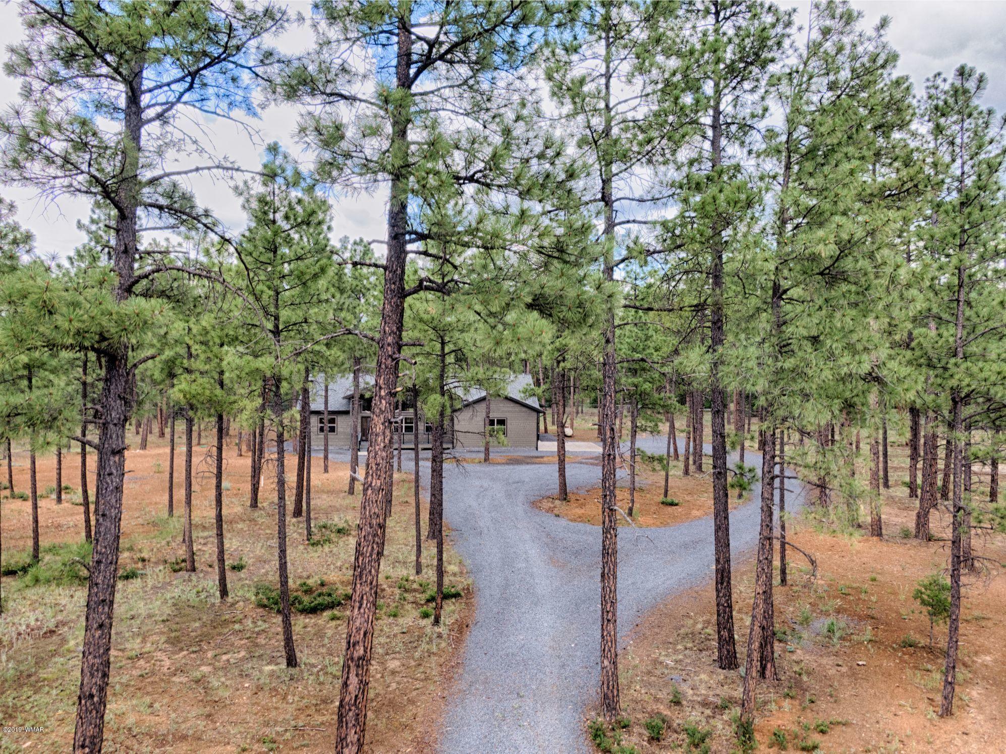 5030 Rim Spur Lakeside, AZ 85929 - Photo 5 of 25 Gallery Image 5