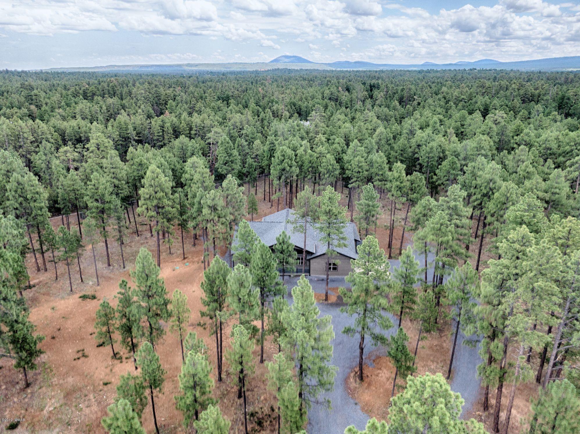 5030 Rim Spur Lakeside, AZ 85929 - Photo 6 of 25 Gallery Image 6