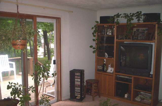 710 Gilletts Lake Road Jackson, MI 49201 - Photo 4 of 6 Photo 4
