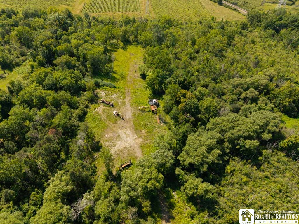 157 Willow Road Dunkirk, NY 14048 - Photo 37 of 45