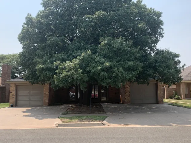 a view of a house with a tree beside it