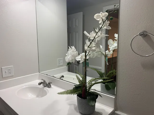 a bathroom with a sink and mirror