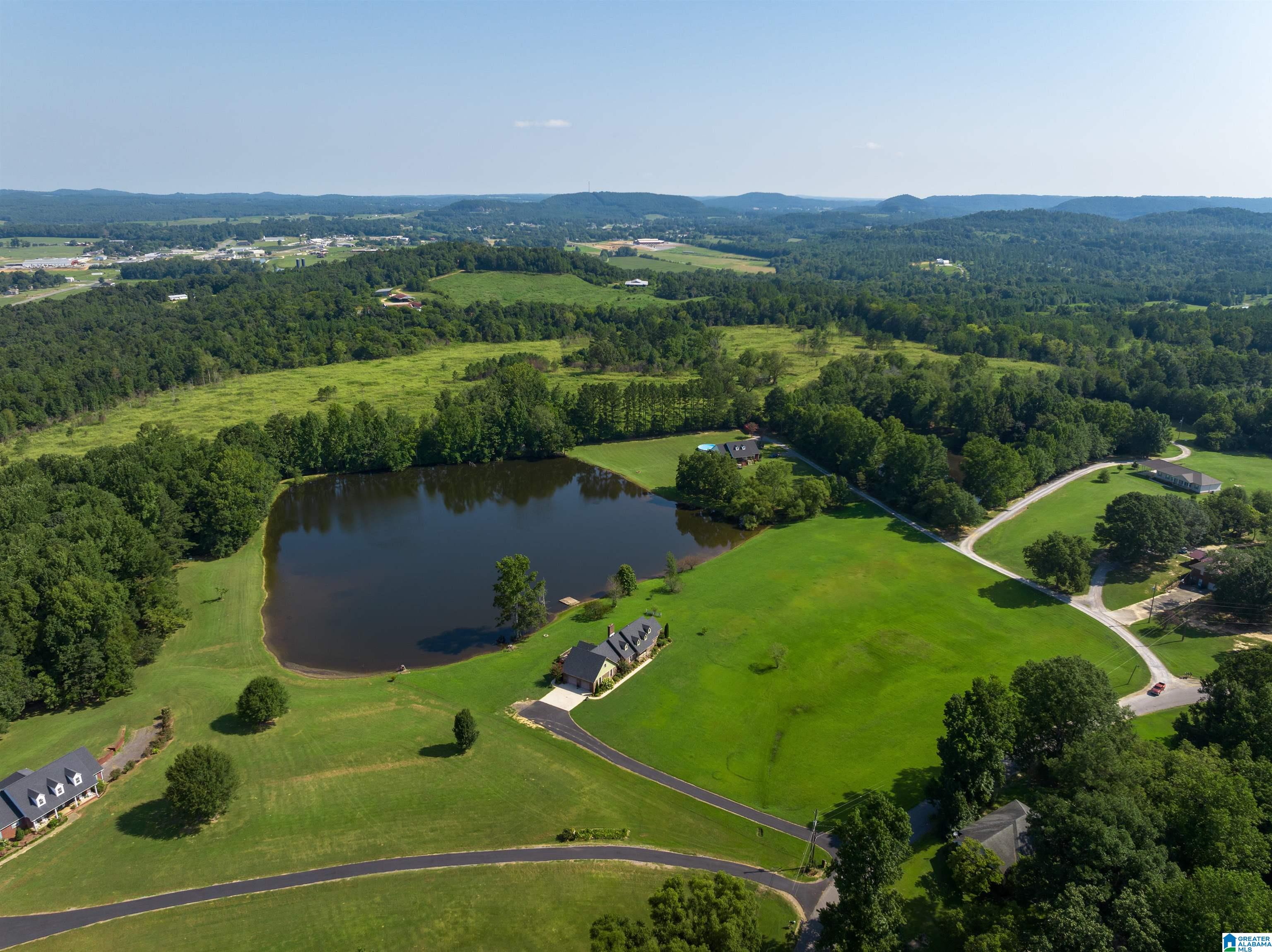 331 Johnson Drive Cleveland, AL 35049 - Photo 38 of 42