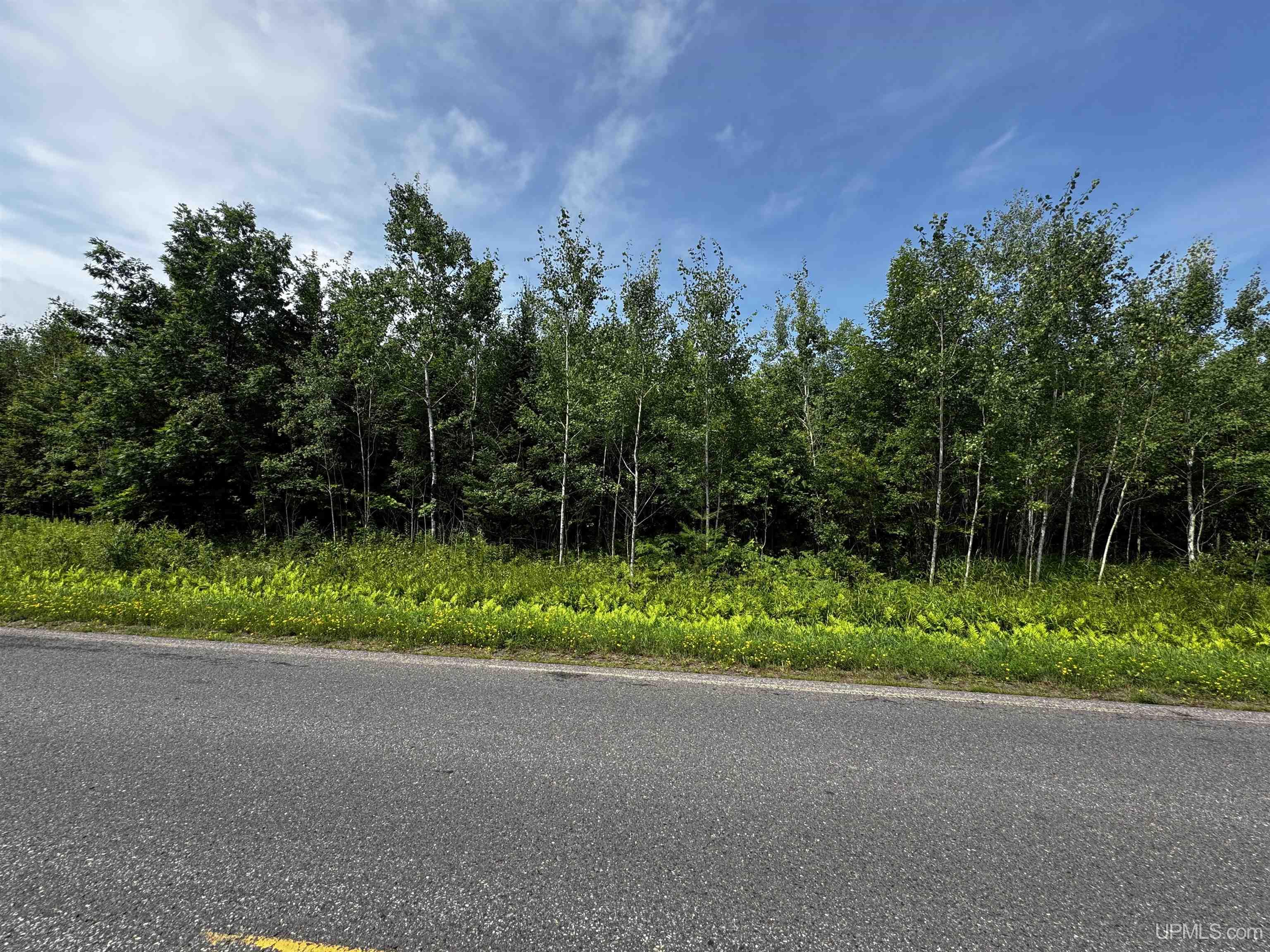 Tbd Beartown Road Baraga, MI 49908 - Photo 5 of 7
