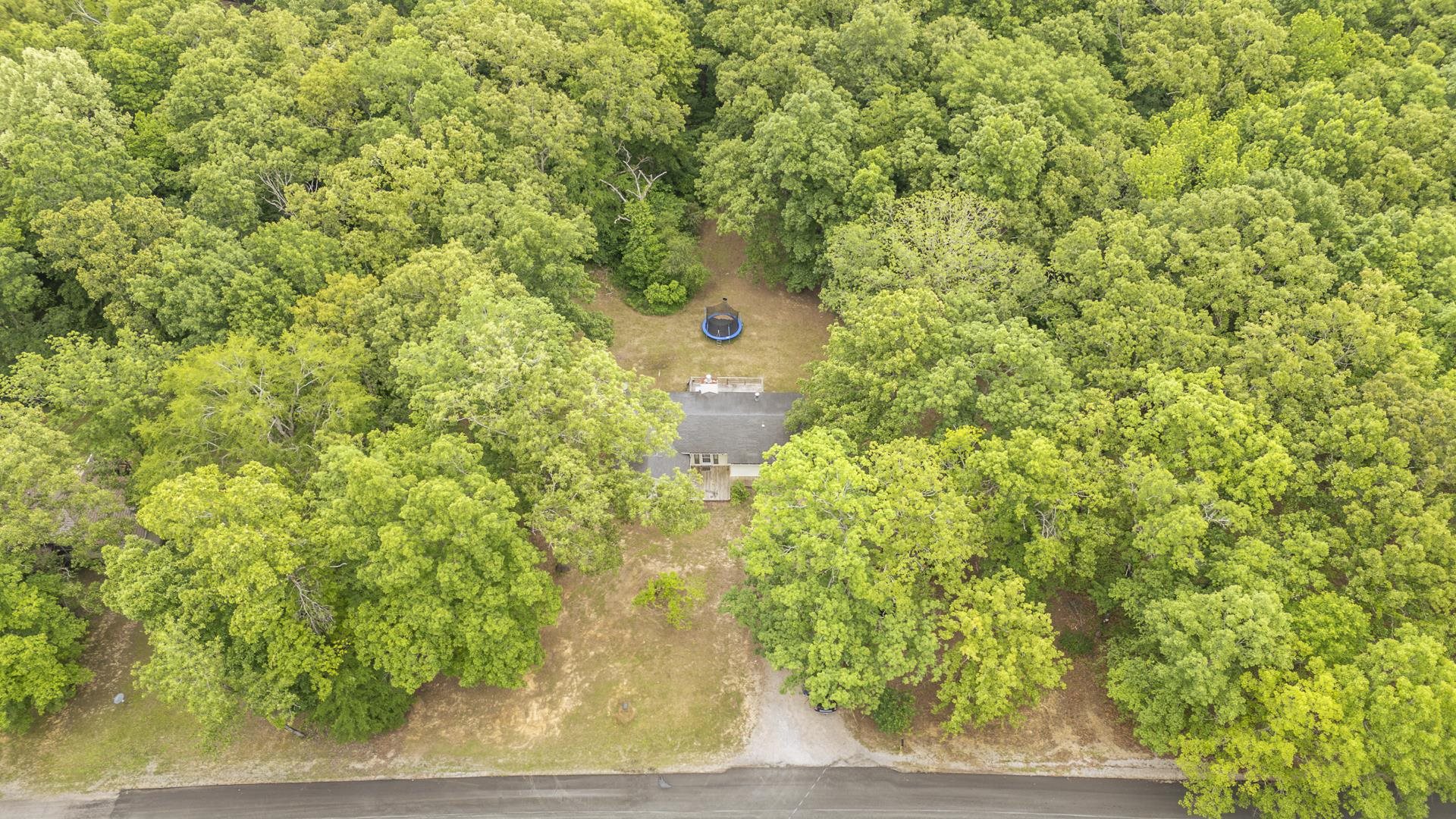 259 Oakview Drive Adamsville, TN 38310 - Photo 30 of 32 Wooded lot featuring a residential structure with a gray roof and light-colored siding