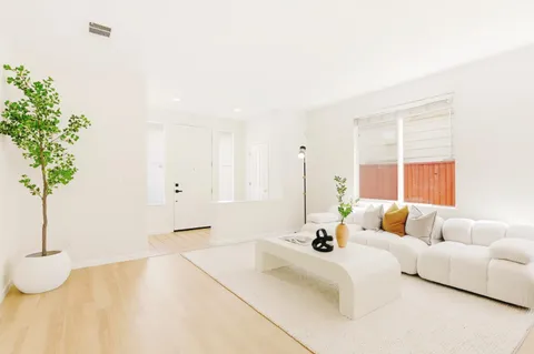 a living room with furniture and a potted plant