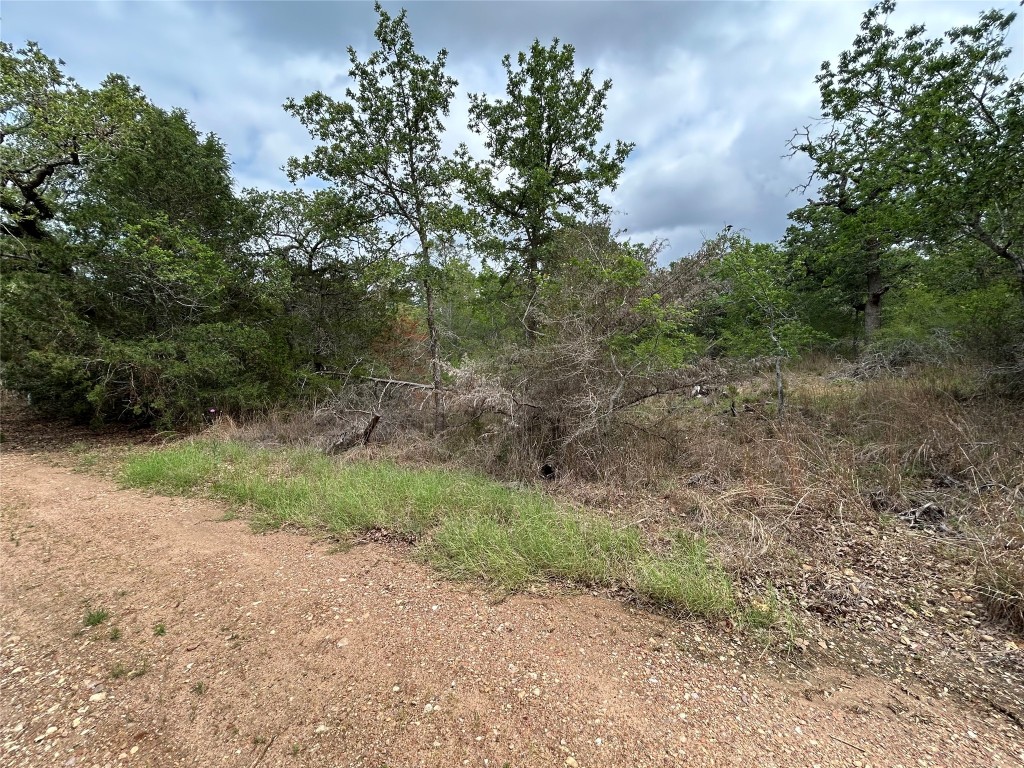 Lot 54 Rick Road La Grange, TX 78945 - Photo 2 of 8 a view of a yard with a tree