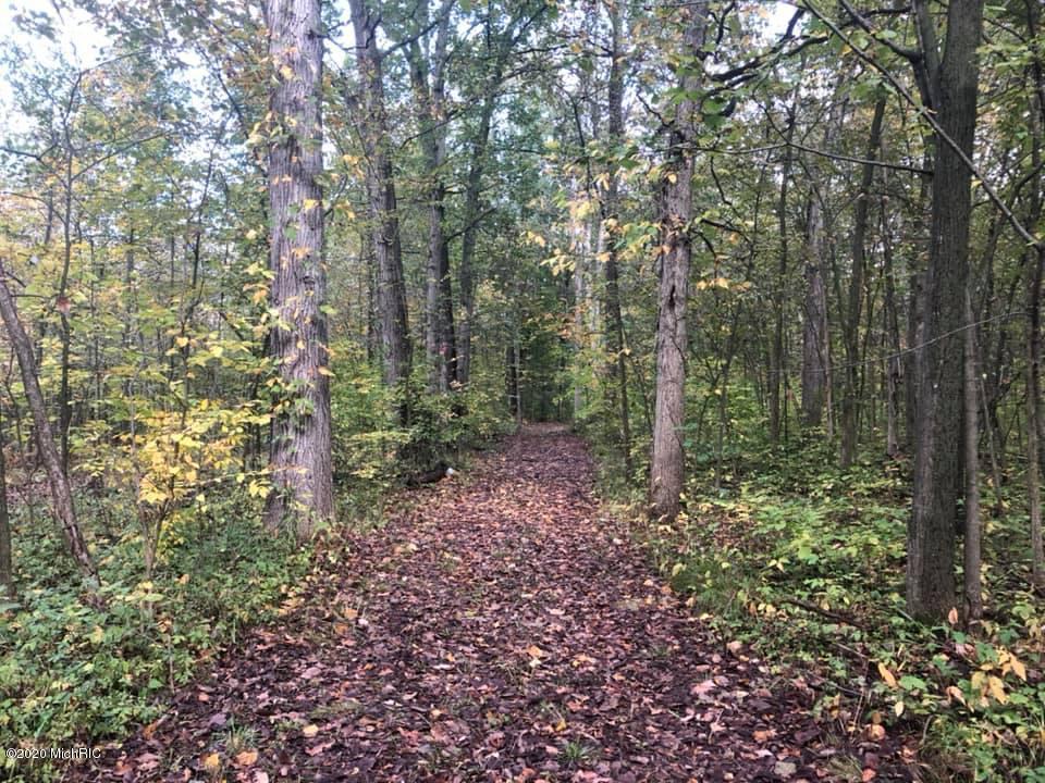 Wellman Road Parma, MI 49269 - Photo 1 of 19 well1
