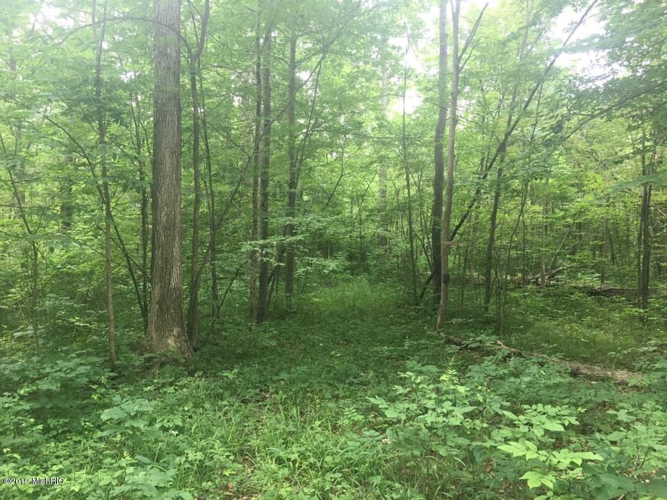 Wellman Road Parma, MI 49269 - Photo 13 of 19 Wellman6
