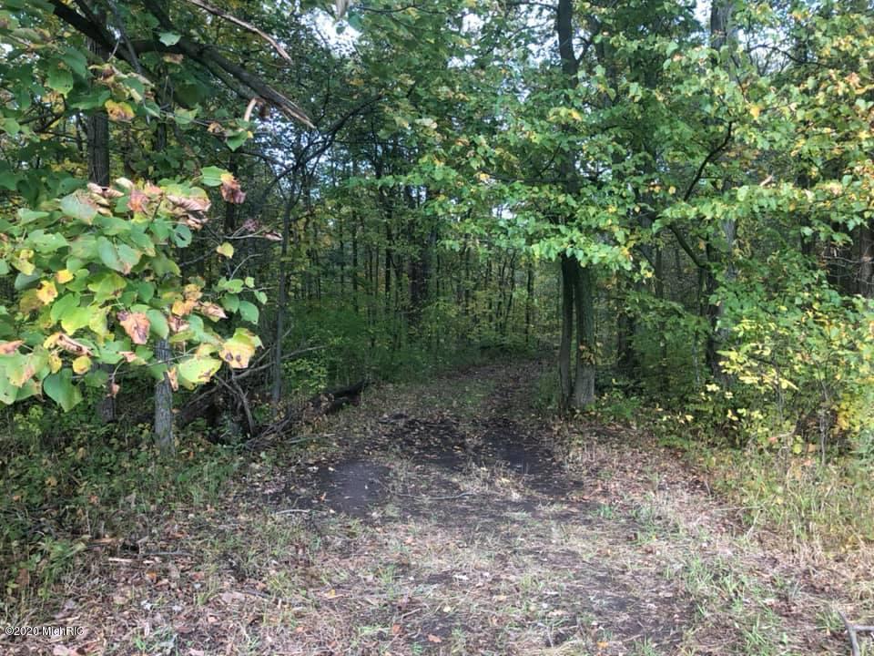 Wellman Road Parma, MI 49269 - Photo 2 of 19 well2