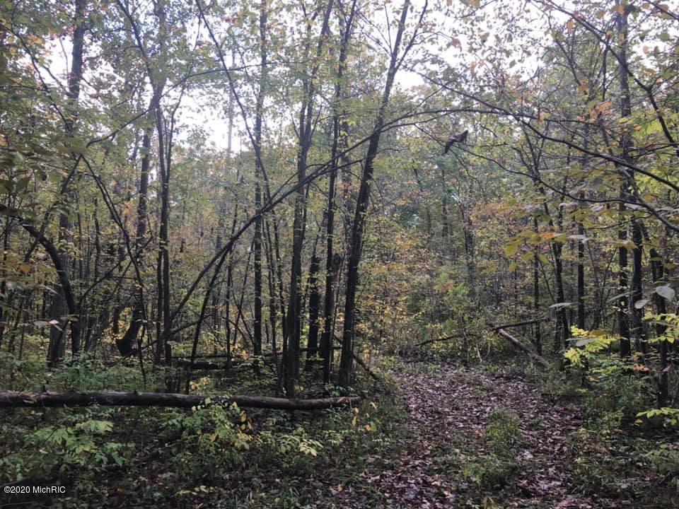 Wellman Road Parma, MI 49269 - Photo 5 of 19 well5