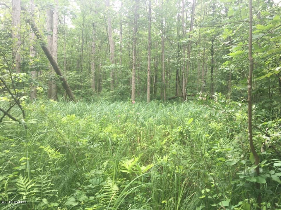 Wellman Road Parma, MI 49269 - Photo 10 of 19 Wellman3