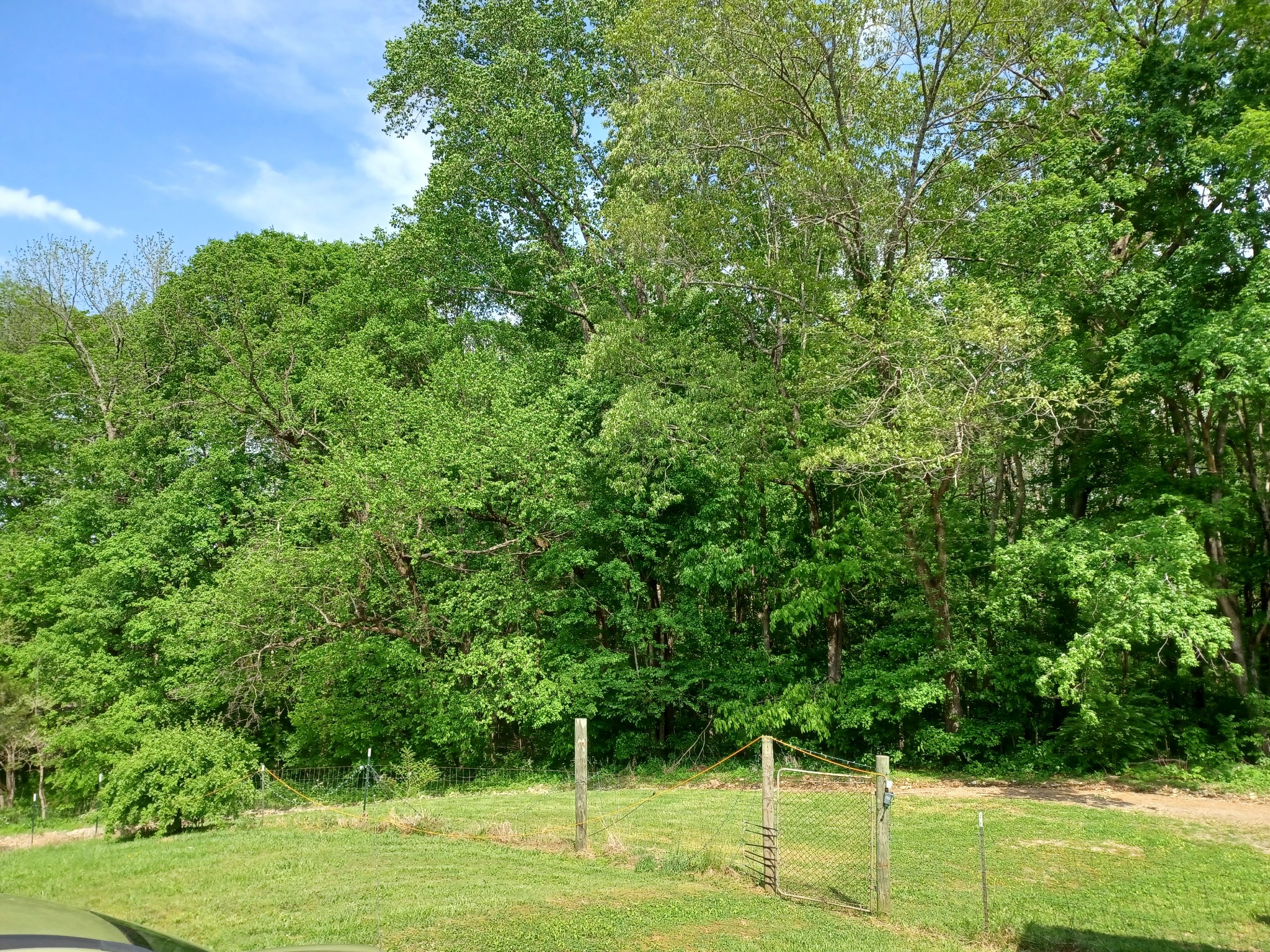 2150 Hogan Road Burns, TN 37029 - Photo 19 of 58 a view of a big yard