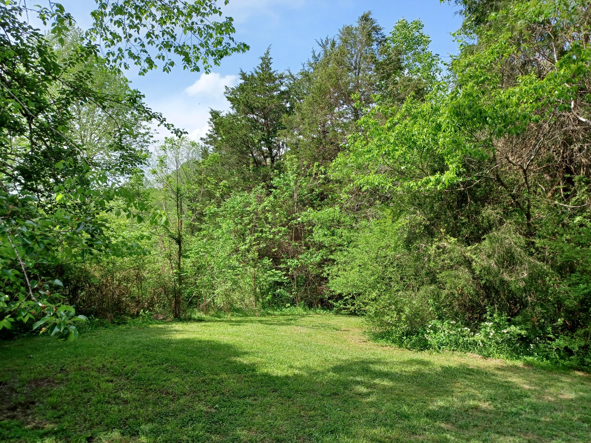 2150 Hogan Road Burns, TN 37029 - Photo 24 of 58 a view of a lush green space
