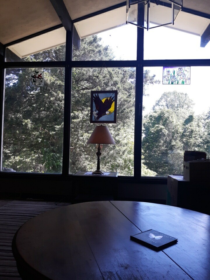 2150 Hogan Road Burns, TN 37029 - Photo 35 of 58 a view of a floor to ceiling window in an outdoor room