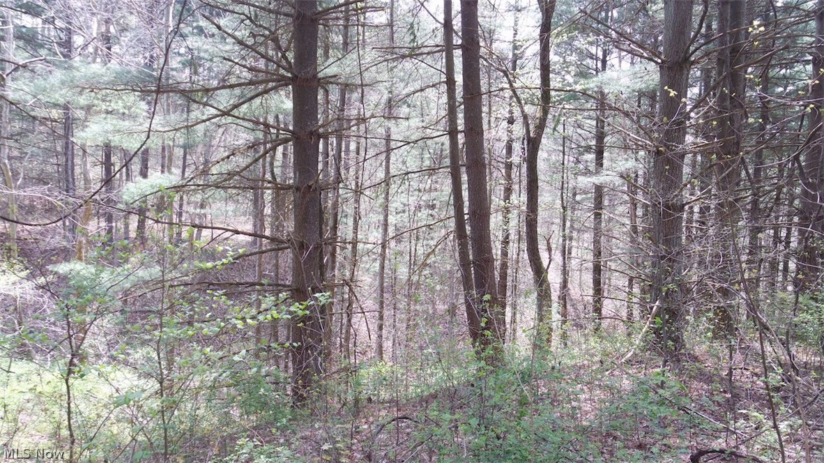 Mt Hope Ridge Road Graysville, OH 45734 - Photo 7 of 21 Gallery Image 7