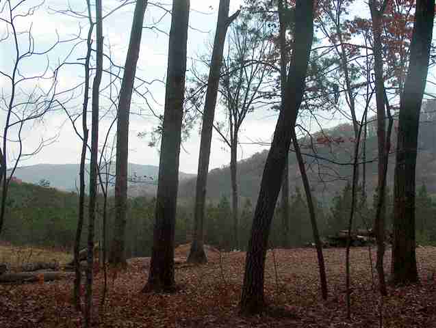 379 Big Rock Lake Road Pickens, SC 29671 - Photo 2 of 9 Gallery Image 2