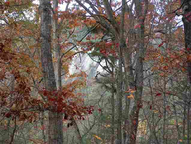 379 Big Rock Lake Road Pickens, SC 29671 - Photo 5 of 9 Gallery Image 5
