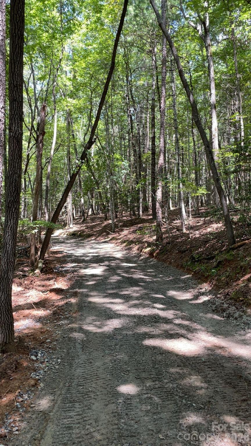 a view of street view with tree