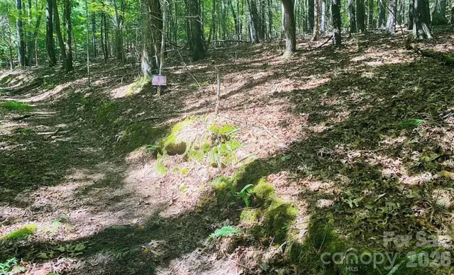 $49,900 | 919 Panther Top Road, Murphy, NC 28906