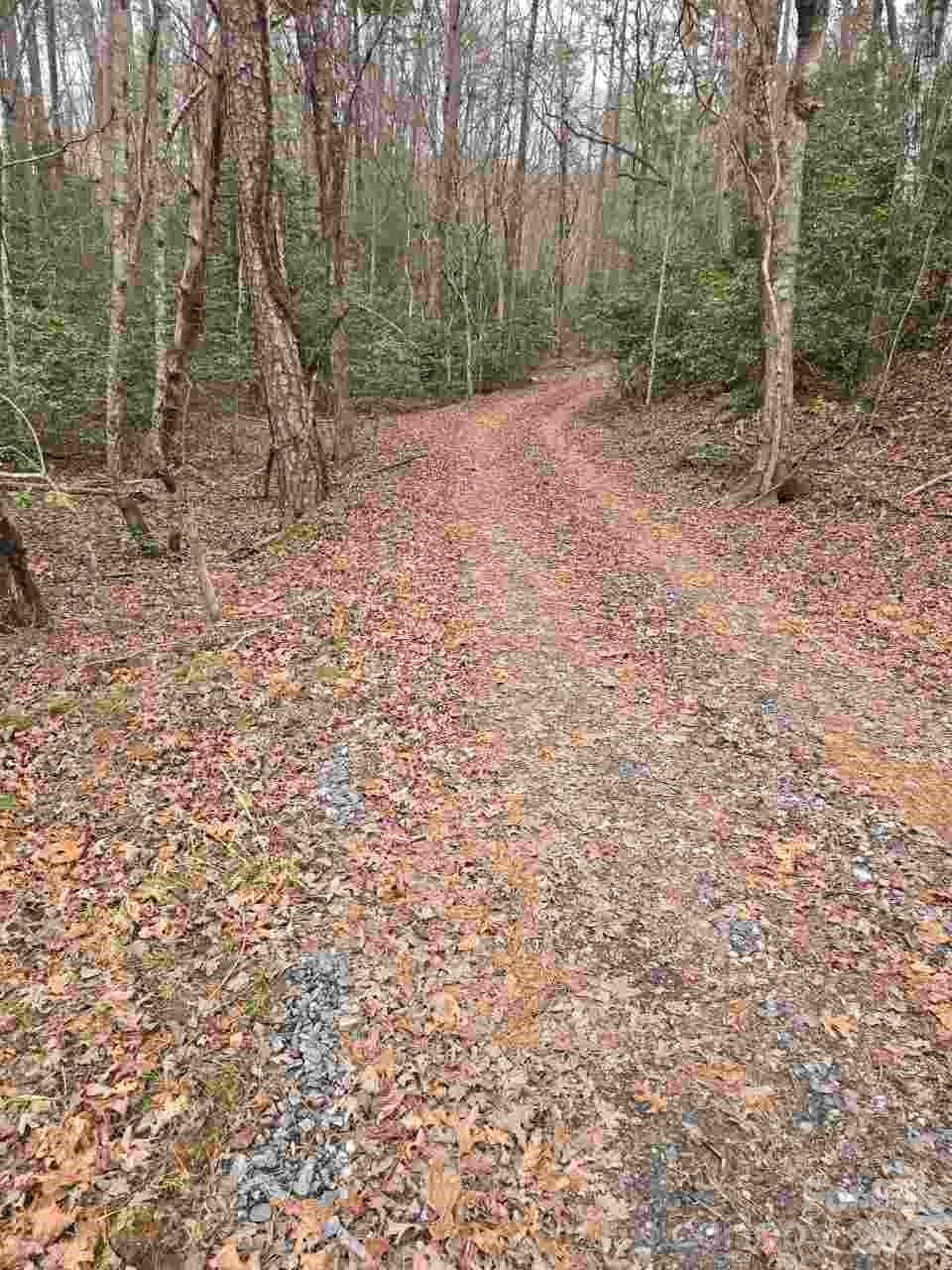 919 Panther Top Road Murphy, NC 28906 - Photo 2 of 8 a view of a forest with trees in the background