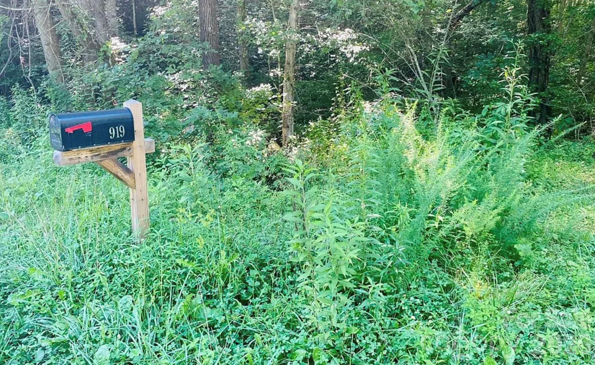 919 Panther Top Road Murphy, NC 28906 - Photo 3 of 4