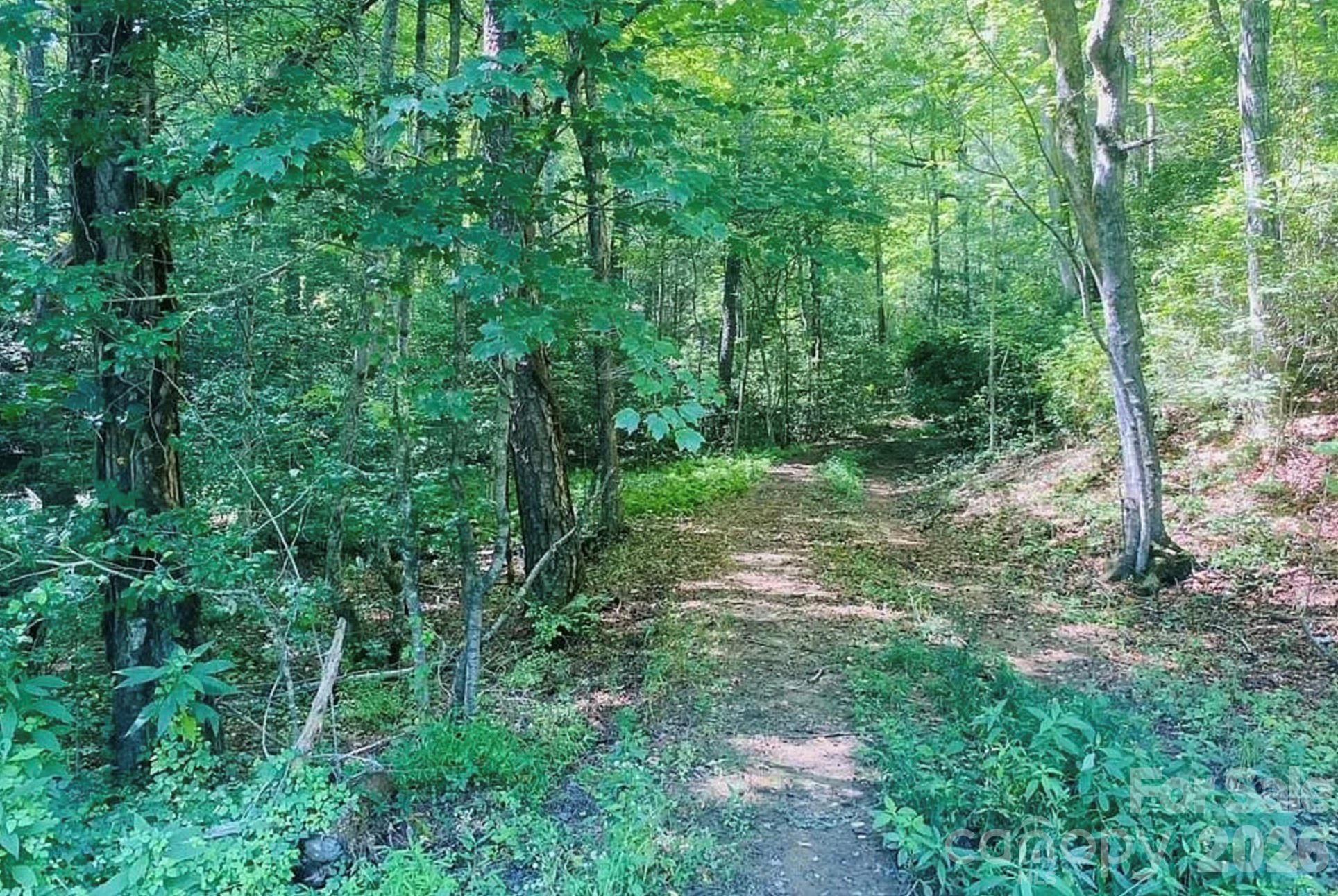 919 Panther Top Road Murphy, NC 28906 - Photo 6 of 8 a big yard with lots of green space and deers