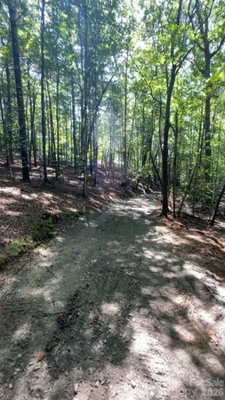 a view of outdoor space with trees