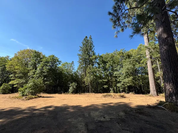 a view of ocean view with trees
