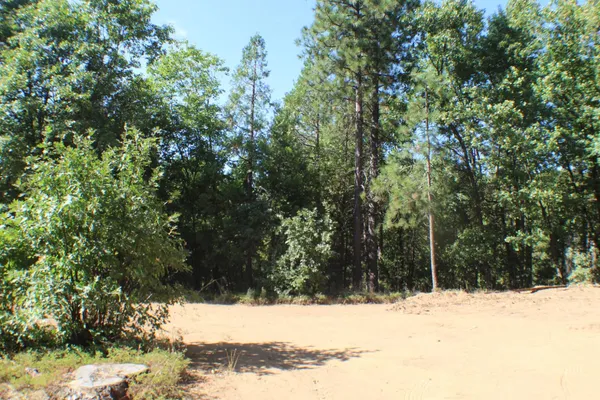 a view of a yard covered in snow