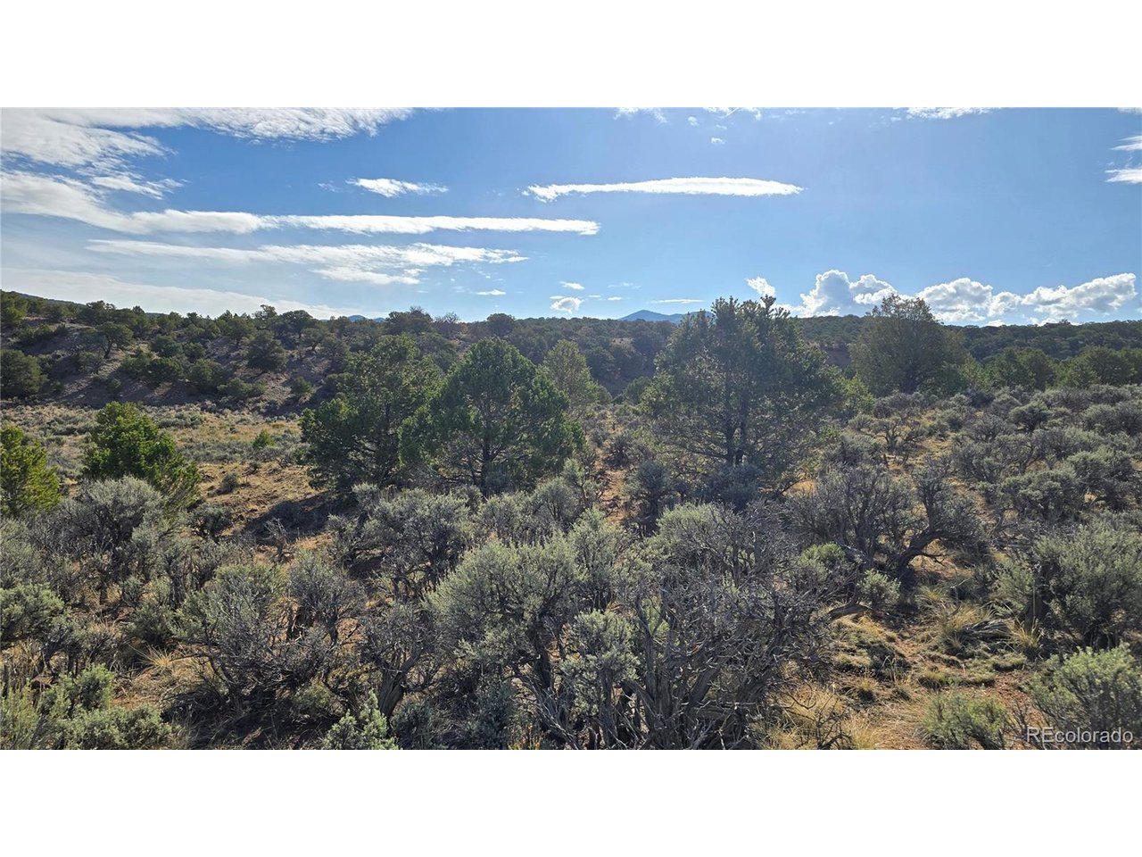 7340 Sweany Road Fort Garland, CO 81133 - Photo 22 of 31
