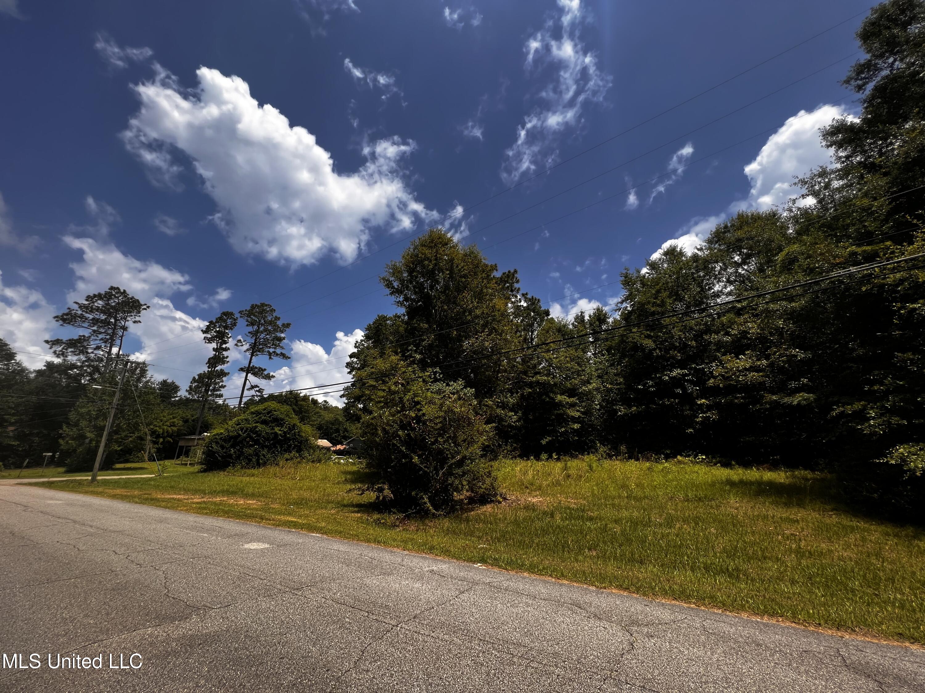 4-6 Pinecrest Avenue Wiggins, MS 39577 - Photo 6 of 9 IMG_6042