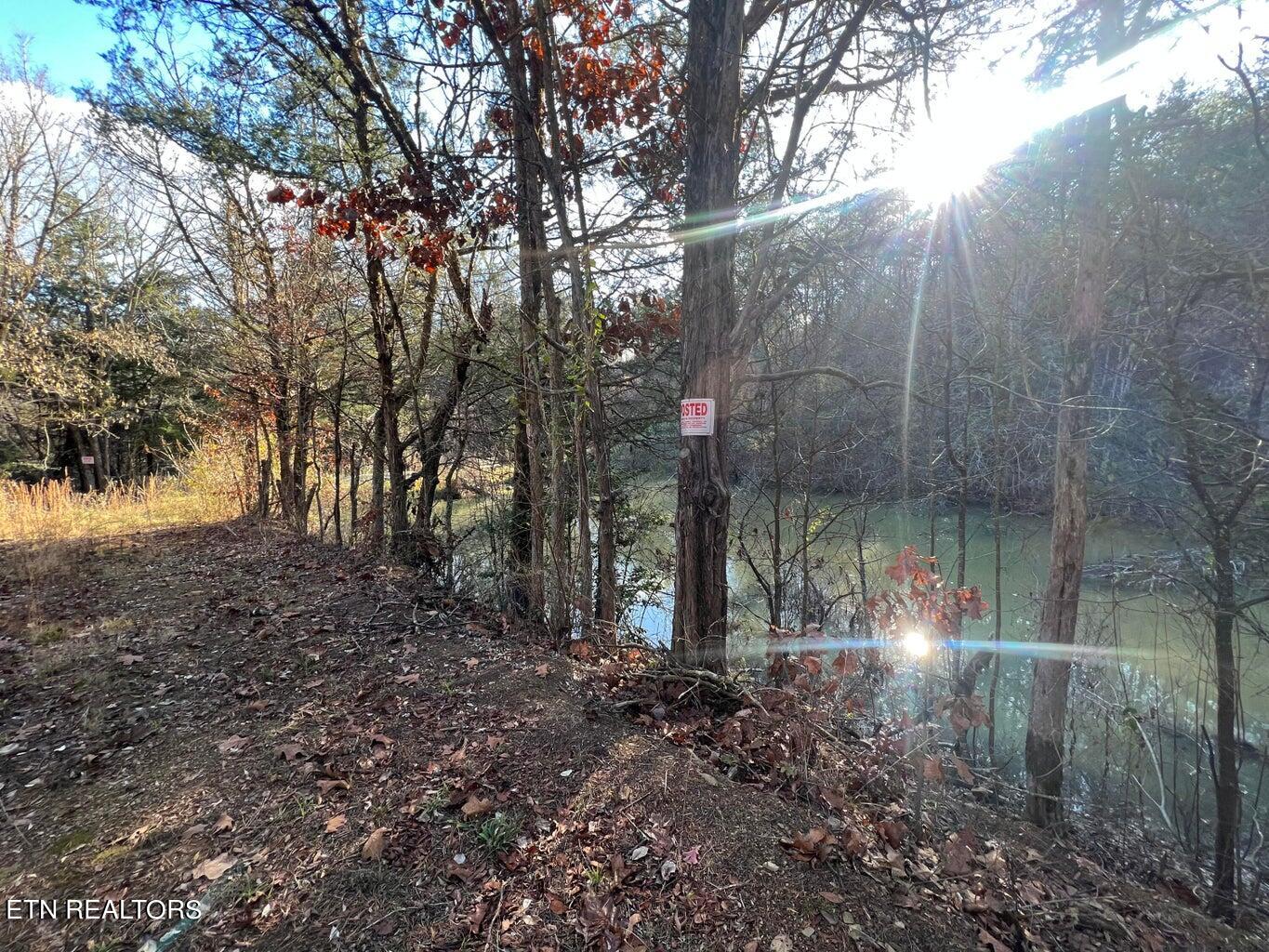 389 Cedar Glen Way Bybee, TN 37713 - Photo 2 of 10 cedar glen2