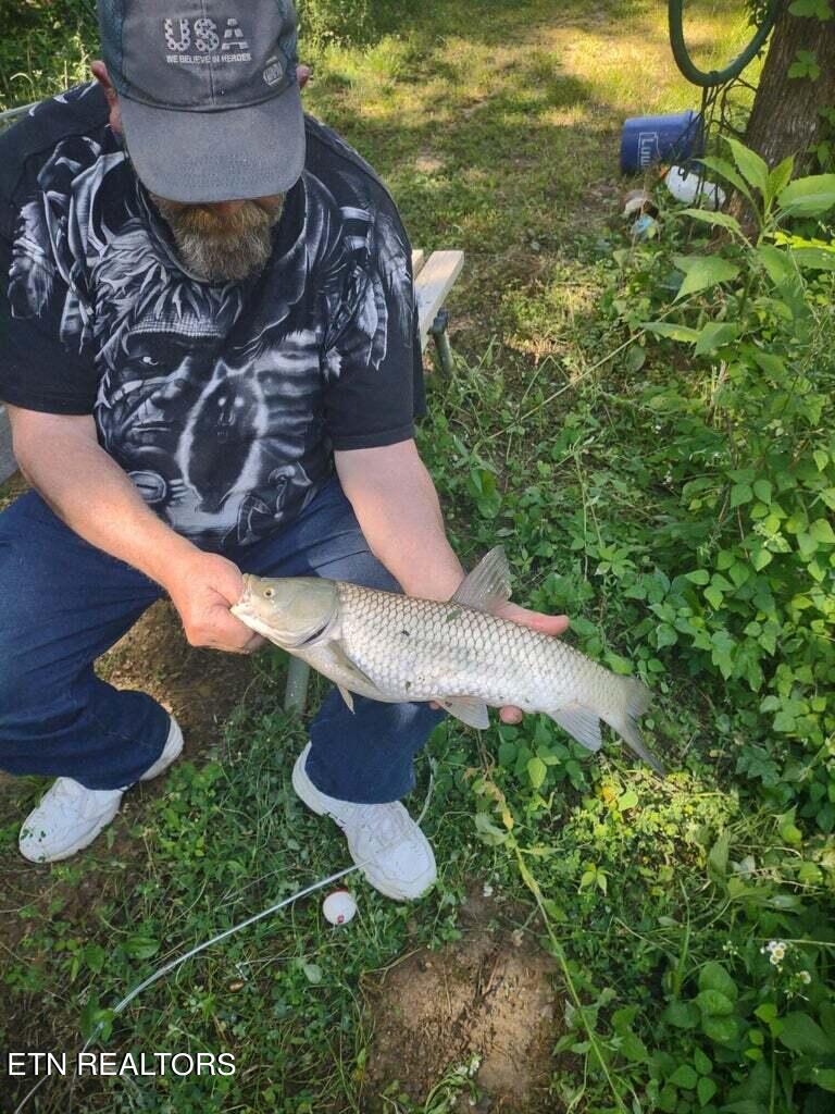 389 Cedar Glen Way Bybee, TN 37713 - Photo 3 of 10 cedar glen 3