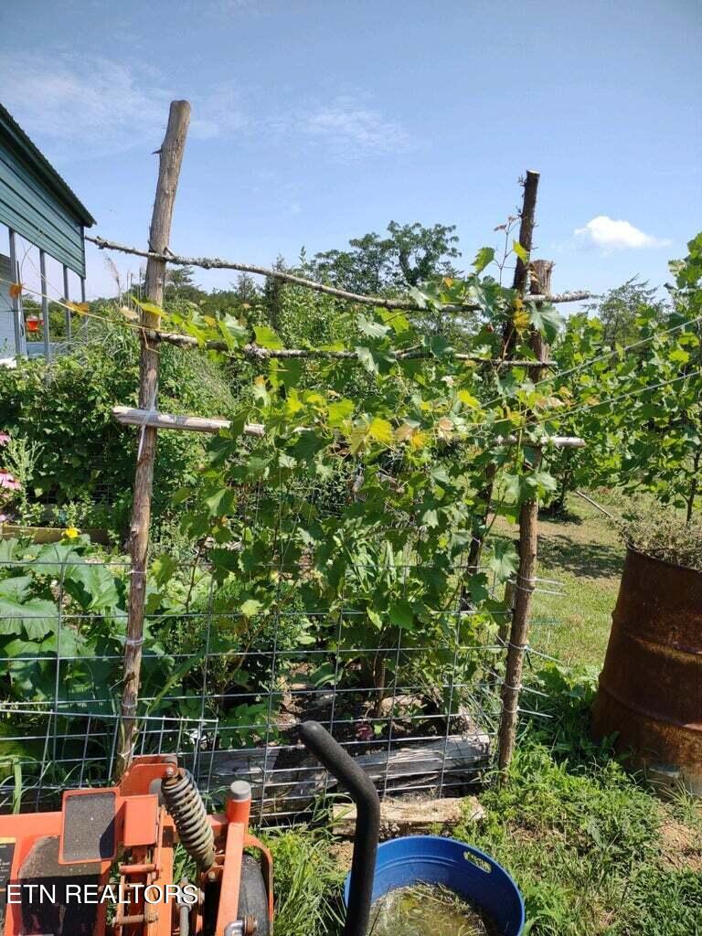 389 Cedar Glen Way Bybee, TN 37713 - Photo 4 of 10 cedar glen 4