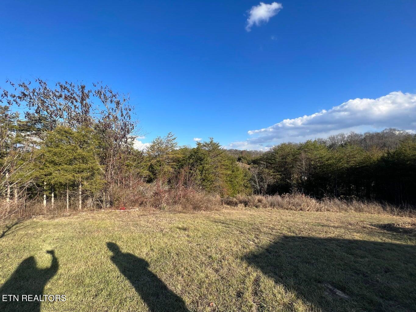 389 Cedar Glen Way Bybee, TN 37713 - Photo 6 of 10 cedar glen 6