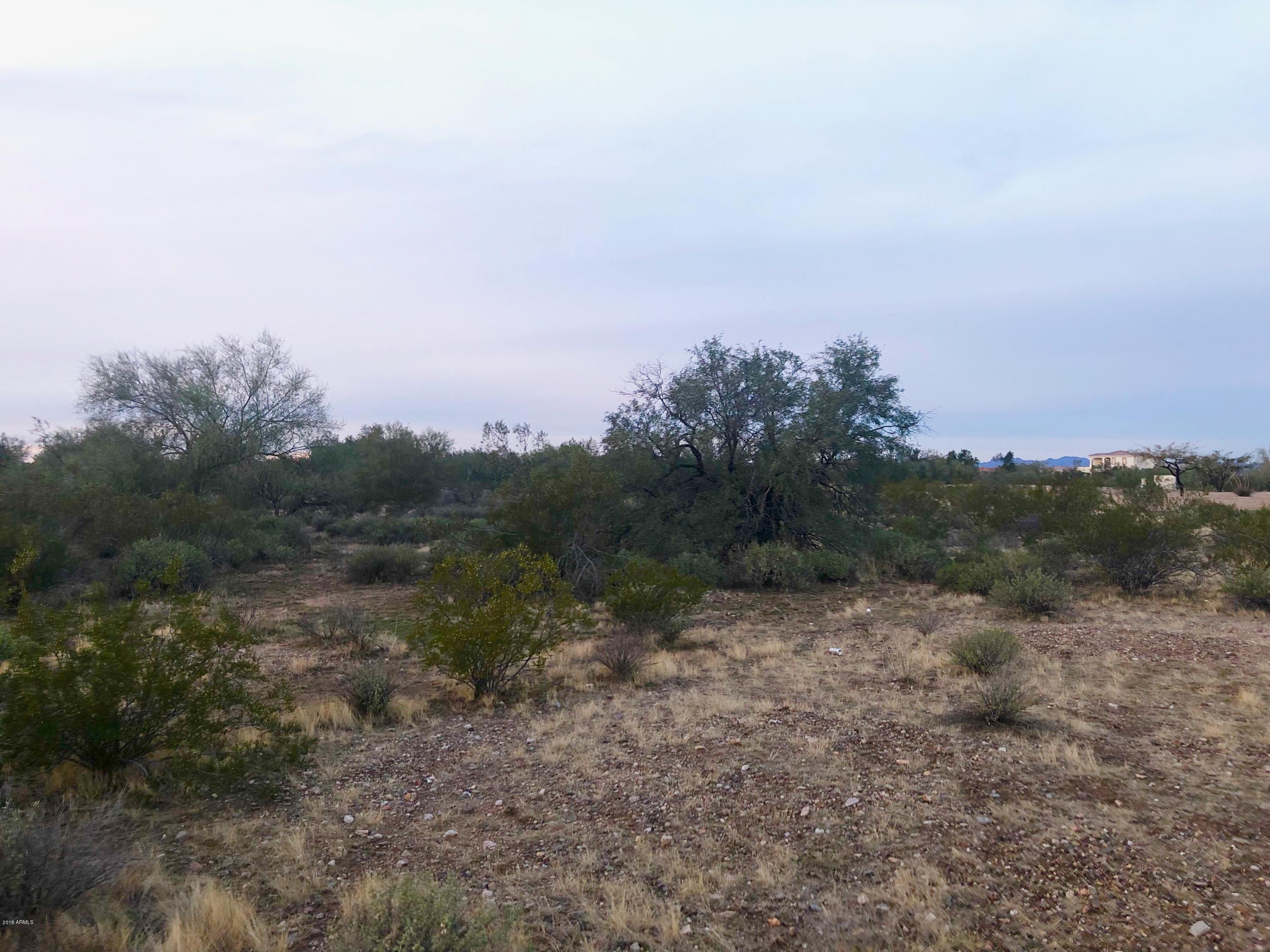16150 West Peak View Road Surprise, AZ 85387 - Photo 11 of 17 IMG-4516